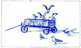 Gaviotas blindadas